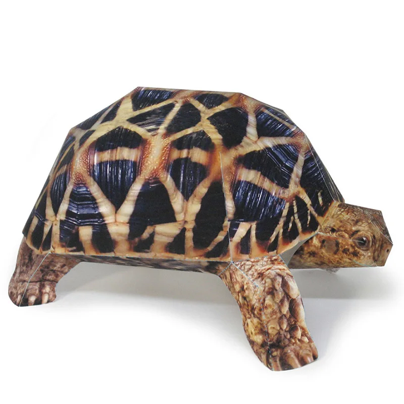 Indian Star Tortoise Paper Mod - đánh giá và giá Art Craft Center