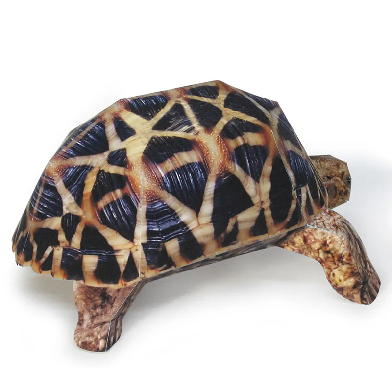 Indian Star Tortoise Paper Mod - đánh giá và giá Art Craft Center