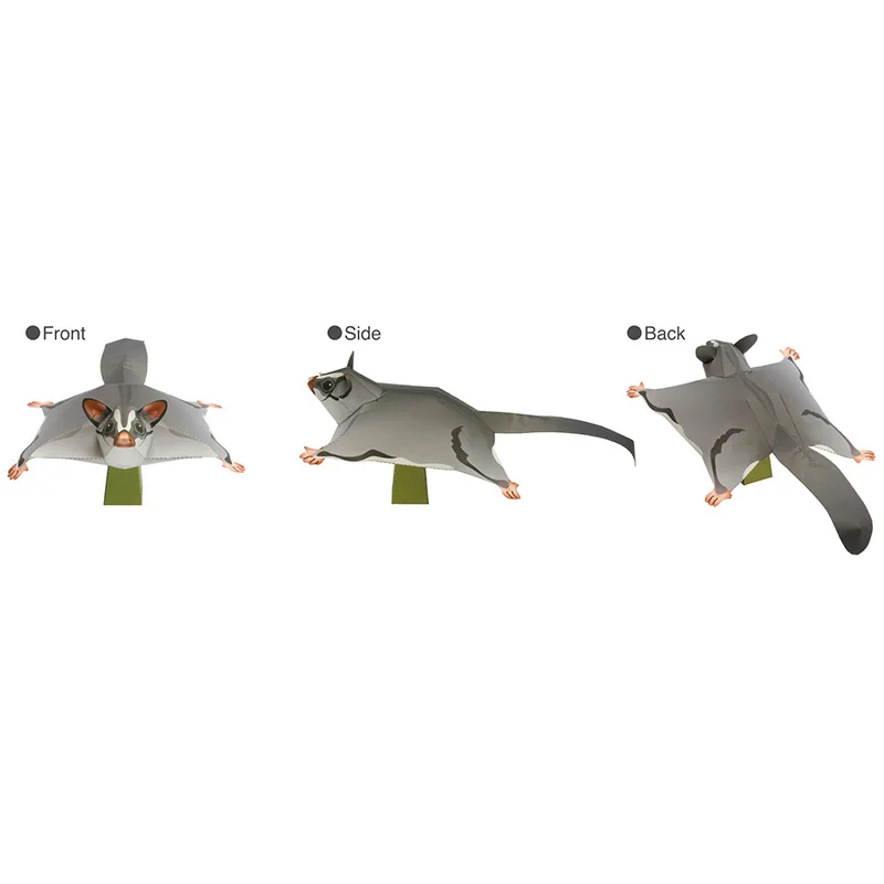 Sugar Glider Flying Mouse Hand - đánh giá và giá Art Craft Center